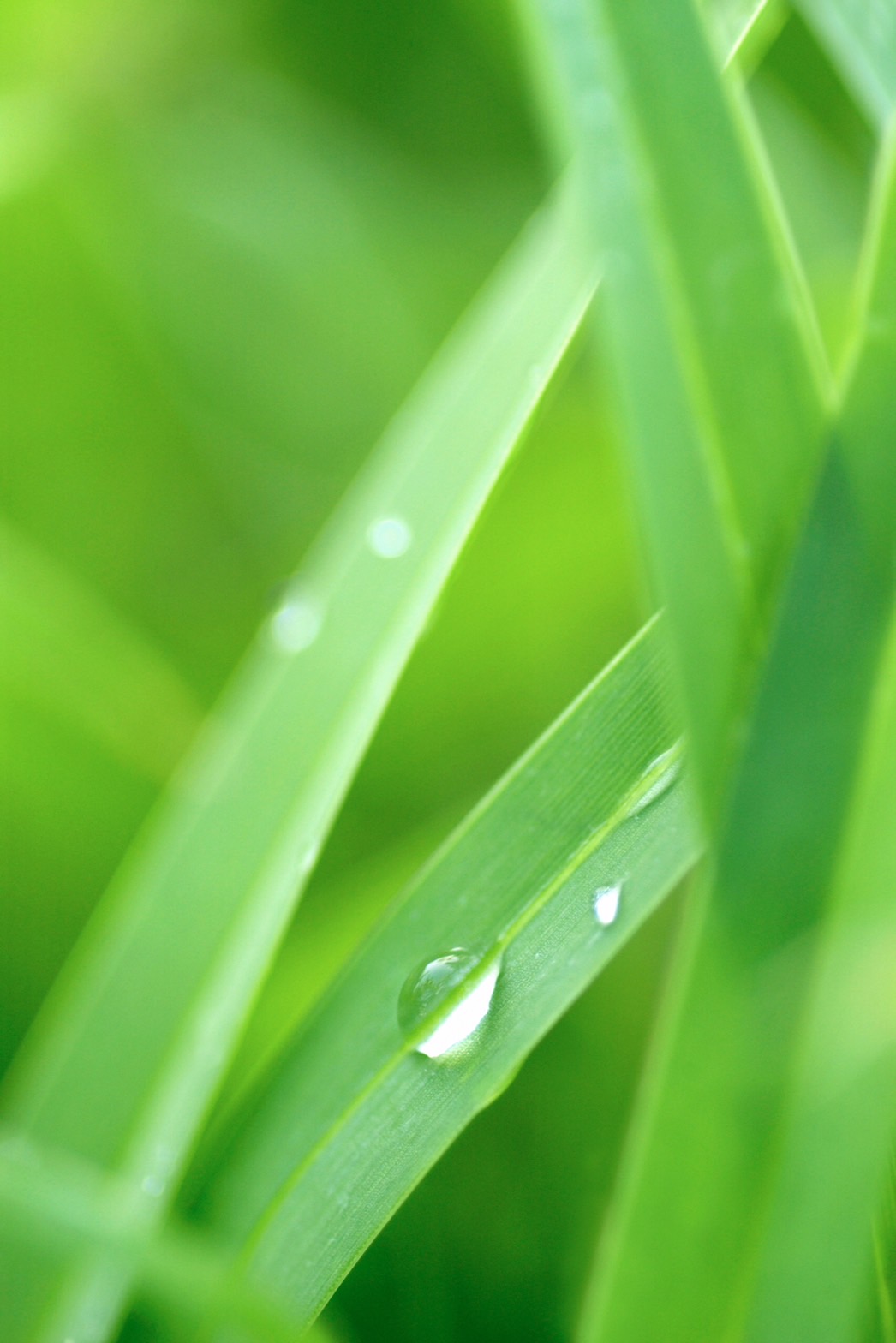 長輩圖背景素材